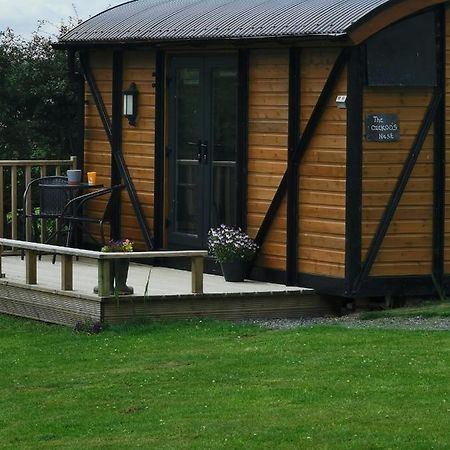 Pen-Rhos Luxury Glamping "Cuckoo'S Nest" Villa ลานดินดรอดเวลส์ ภายนอก รูปภาพ