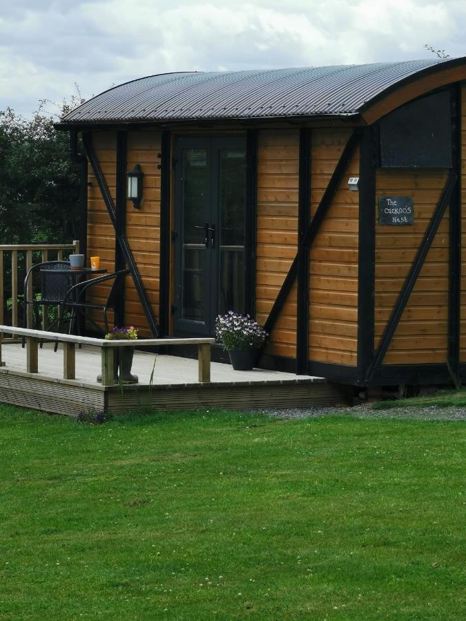 Pen-Rhos Luxury Glamping "Cuckoo'S Nest" Villa ลานดินดรอดเวลส์ ภายนอก รูปภาพ
