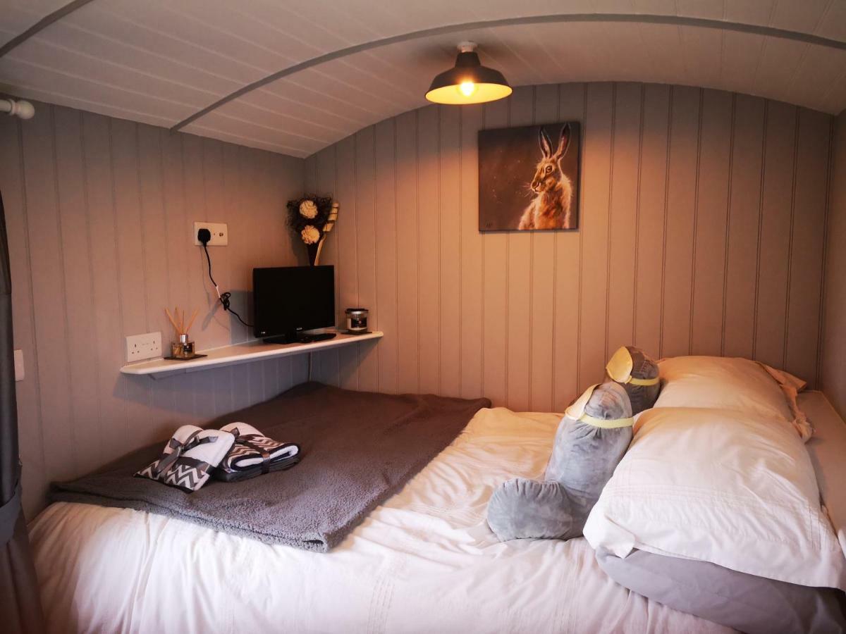 Pen-Rhos Luxury Glamping "Cuckoo'S Nest" Villa ลานดินดรอดเวลส์ ภายนอก รูปภาพ