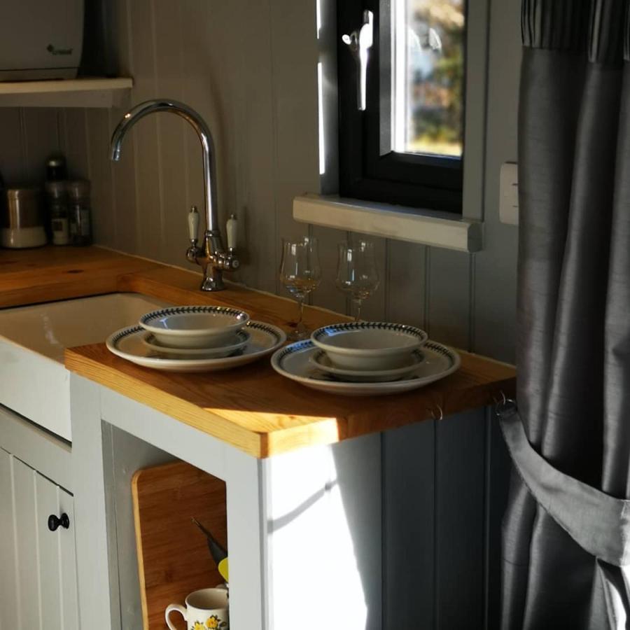 Pen-Rhos Luxury Glamping "Cuckoo'S Nest" Villa ลานดินดรอดเวลส์ ภายนอก รูปภาพ