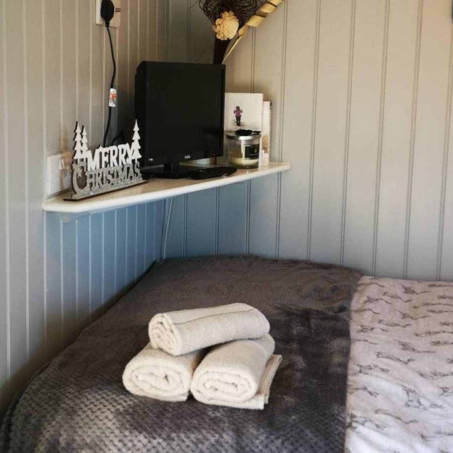 Pen-Rhos Luxury Glamping "Cuckoo'S Nest" Villa ลานดินดรอดเวลส์ ภายนอก รูปภาพ